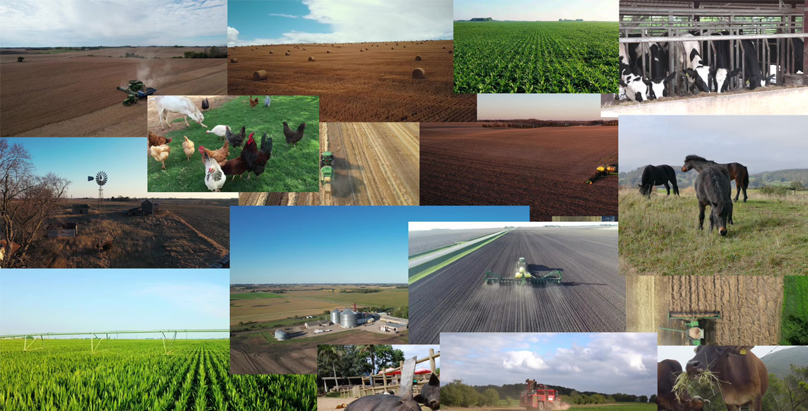 2026 3rd Prize High School Central Division – “The Cost of Independence: Family Farms” by Danica Pestorious, Michaela Hanson, & Brielle Bakken
